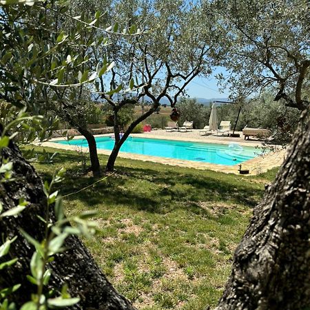 Agriturismo Uliveto Benedetti Spoleto Dış mekan fotoğraf
