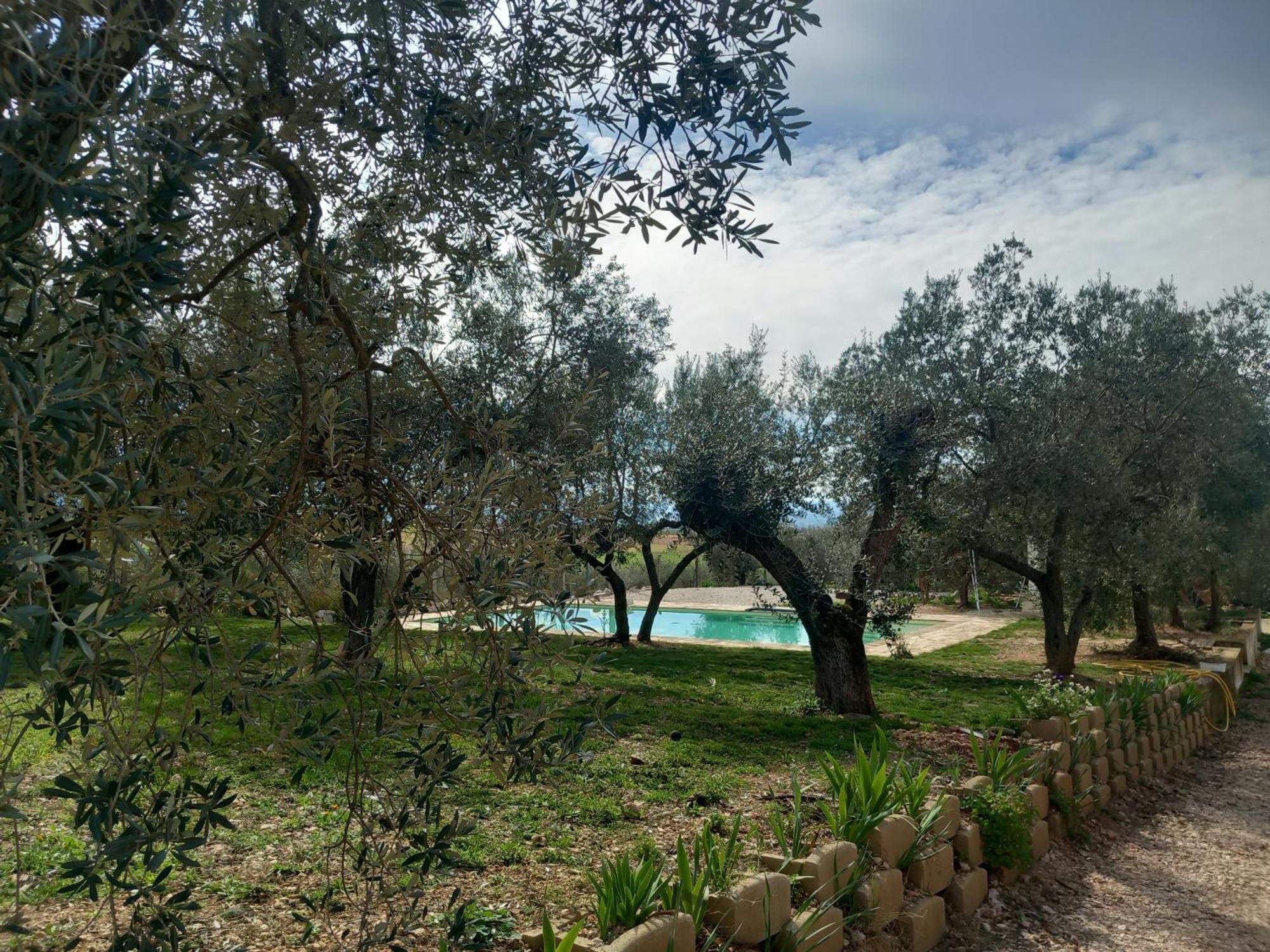 Agriturismo Uliveto Benedetti Spoleto Dış mekan fotoğraf