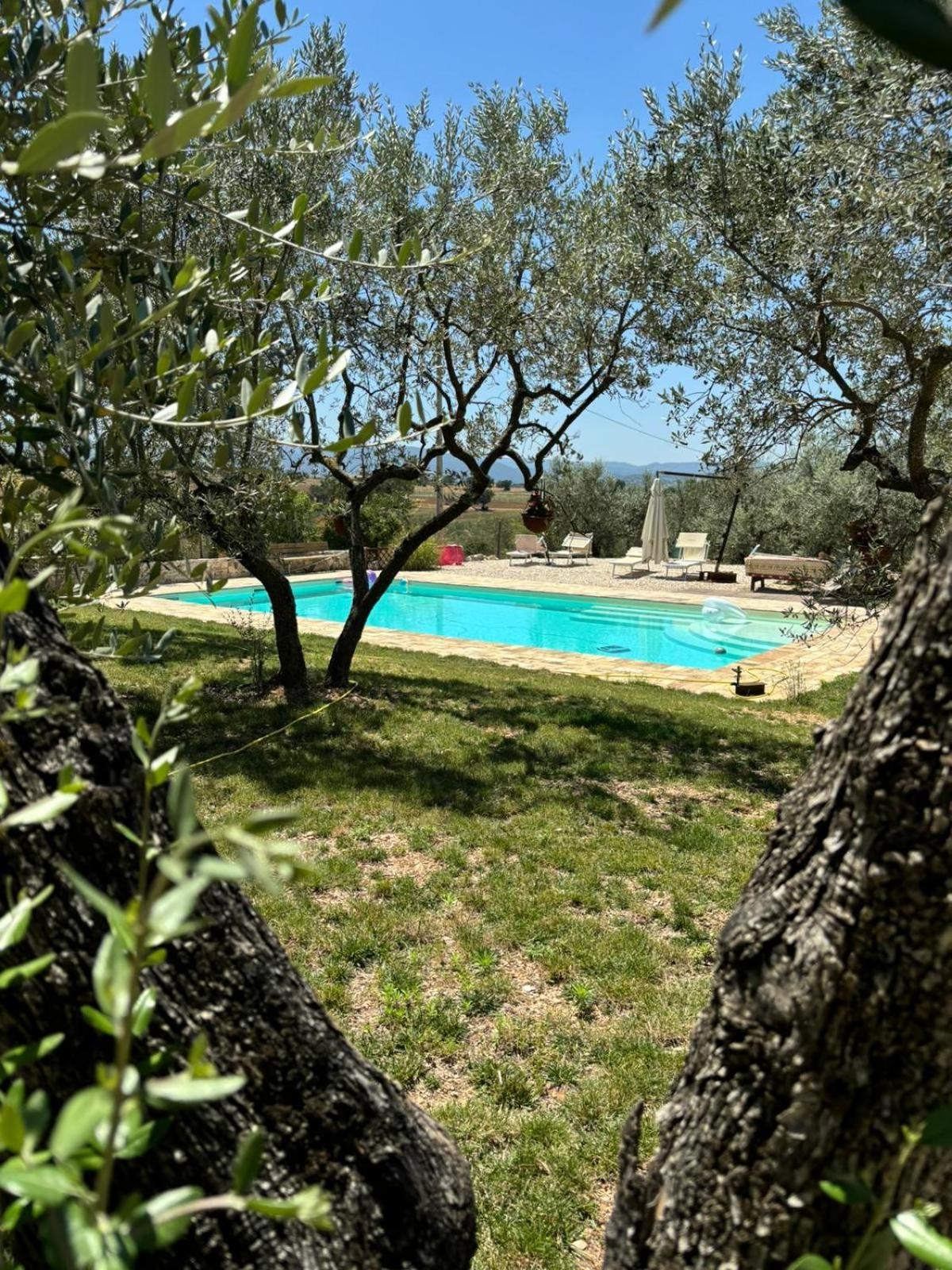 Agriturismo Uliveto Benedetti Spoleto Dış mekan fotoğraf