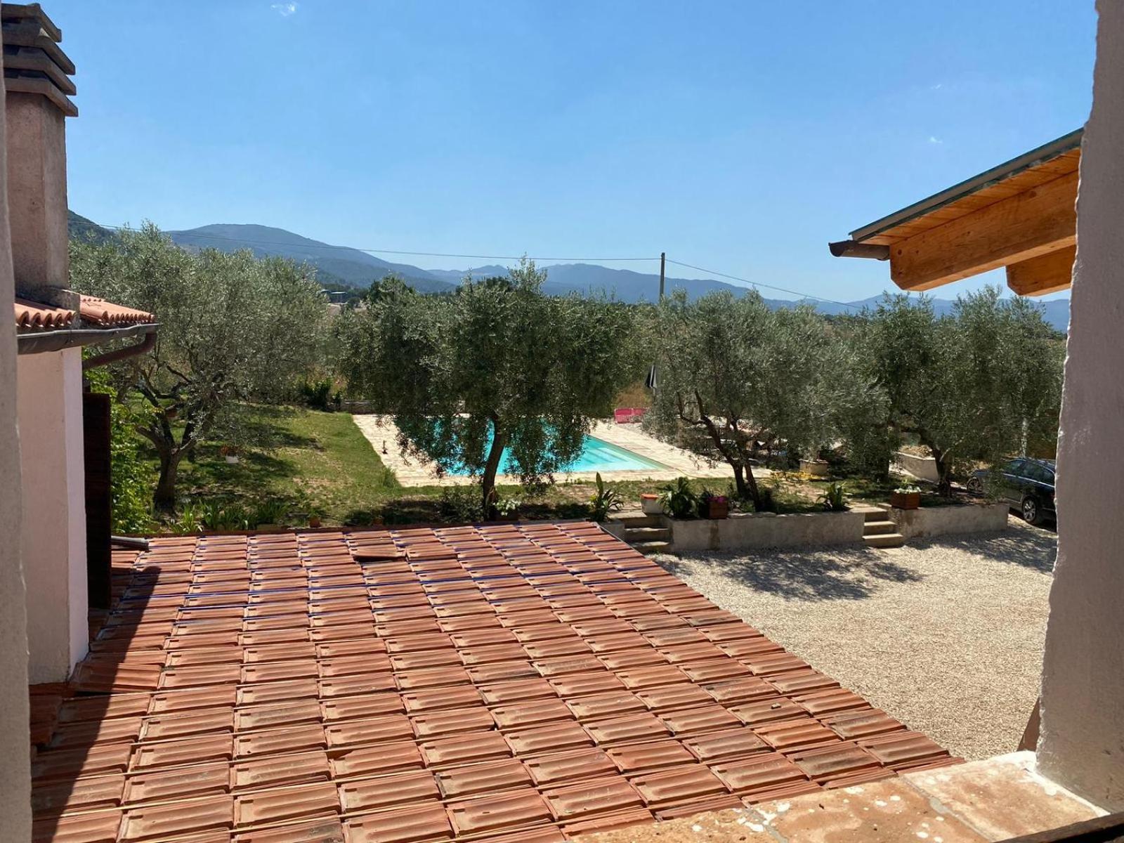 Agriturismo Uliveto Benedetti Daire Spoleto Dış mekan fotoğraf