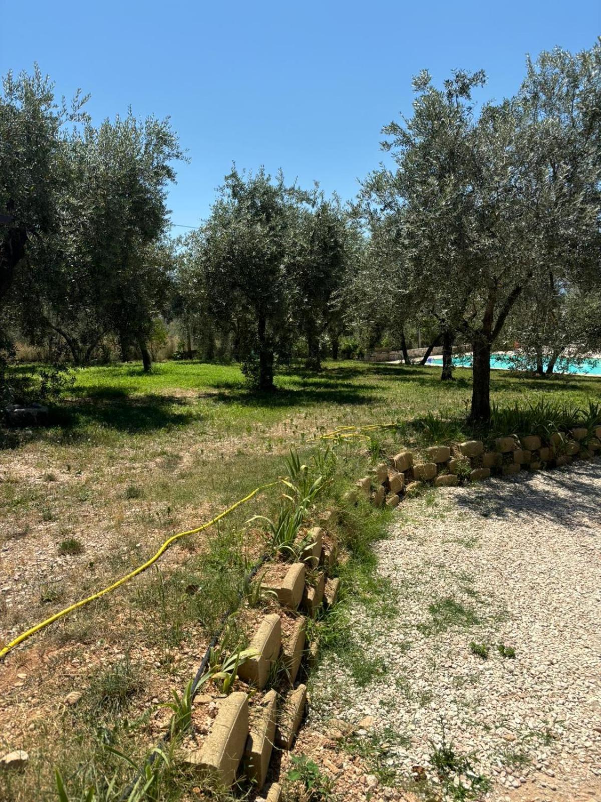 Agriturismo Uliveto Benedetti Daire Spoleto Dış mekan fotoğraf